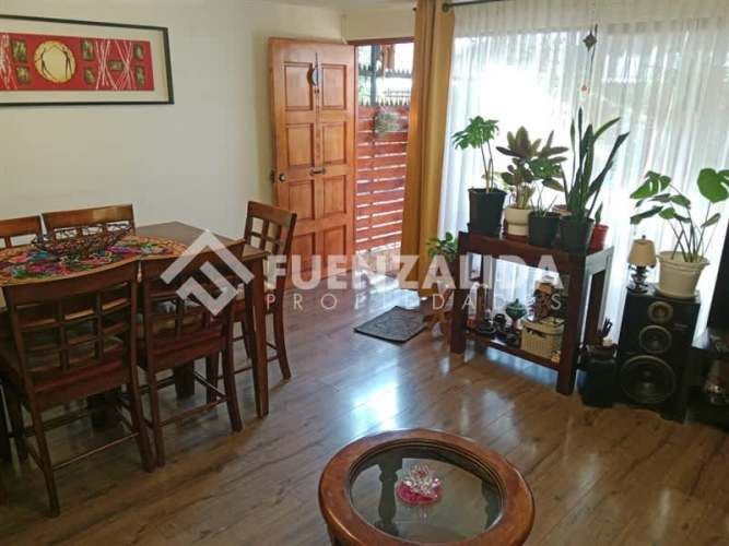 CASA Julio Cesar / Lápiz Lazuli