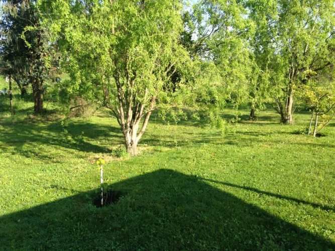 CASA sn miguel de colin