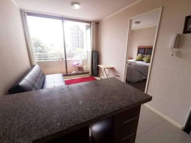 Departamento Concepción centro