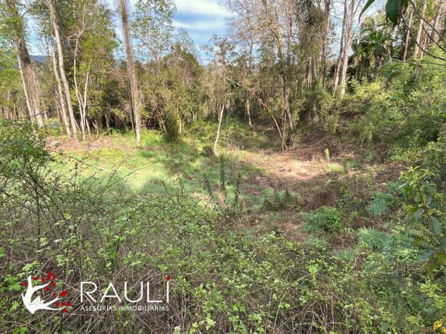 Se vende hermosa parcela, sector de Pichihuape