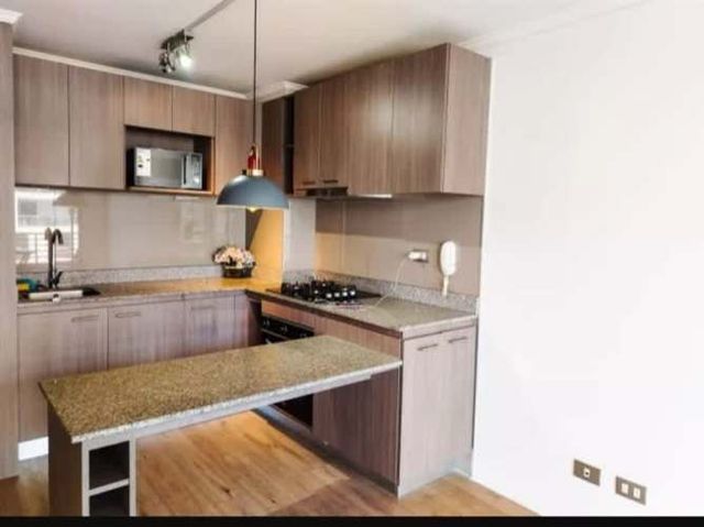 DEPARTAMENTO Pedro de Valdivia / Guillermo Mann