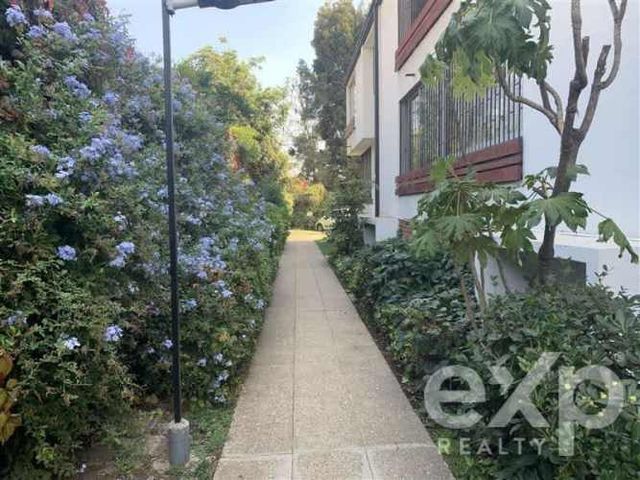 DEPARTAMENTO El Lleuque / El Aromo