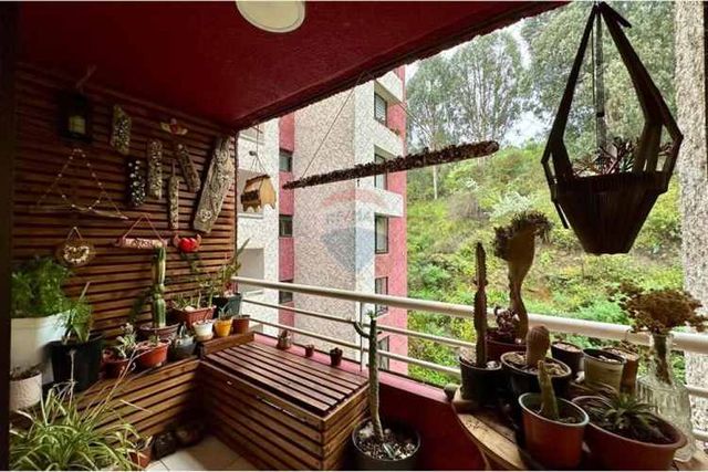 Disfruta reñaca: departamento a pasos de la playa