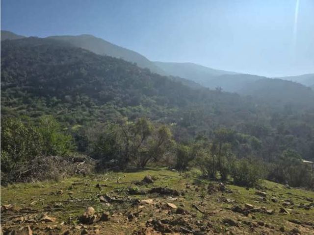 A9419979- Venta Sitio 366 Hectáreas - Cuyuncavi