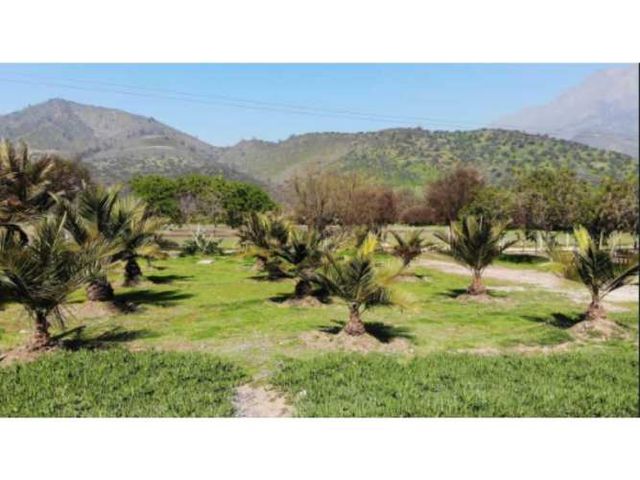 A9419978- Venta Parcela- Hijuelas, Valparaíso-7000Mt