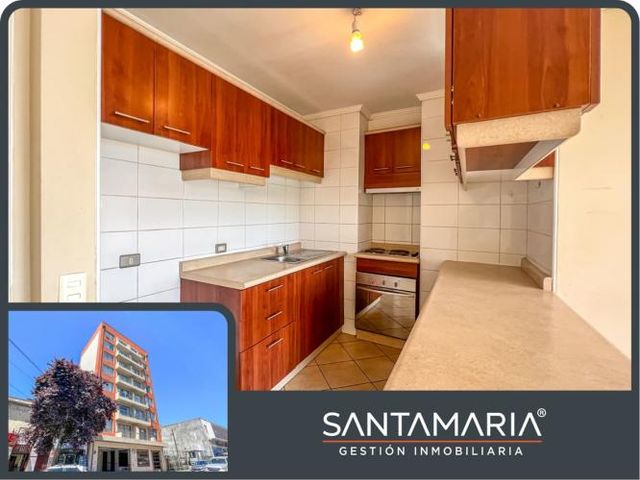 DEPARTAMENTO Colo Colo, Concepción