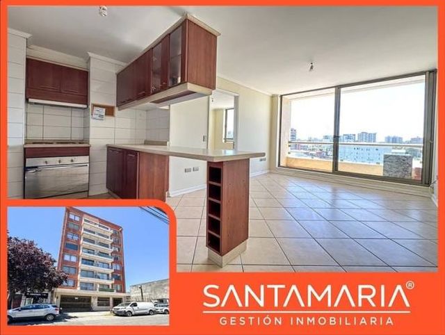 DEPARTAMENTO Colo Colo, Concepción