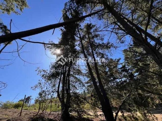 SITIO Los pinos Reñaca