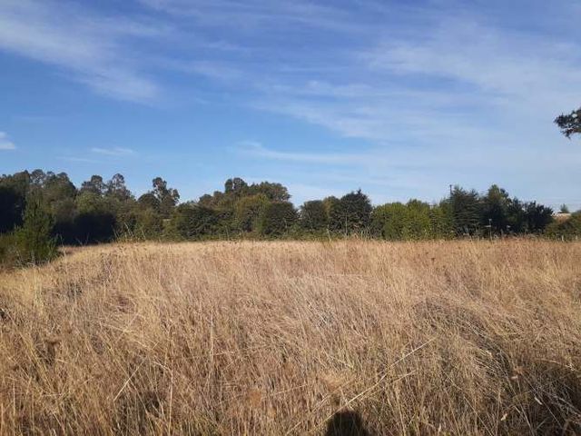 VENTA PARCELA 7022MTS Osorno