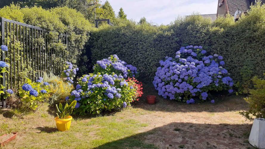 CASA  EN ISLA TEJA CERCA RIO CRUCES VALDIVIA