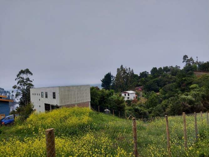 VENDE SITIO MORROS DE COLIUMO