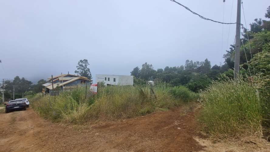 VENDE SITIO MORROS DE COLIUMO