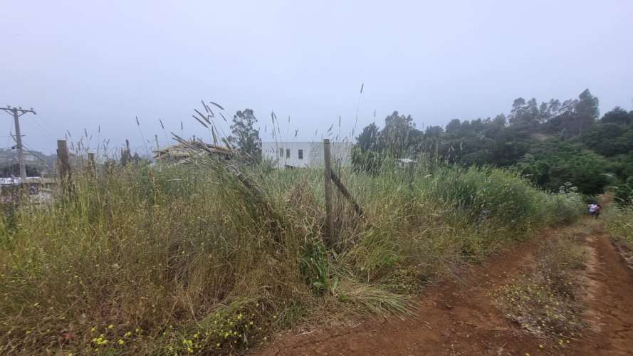 VENDE SITIO MORROS DE COLIUMO