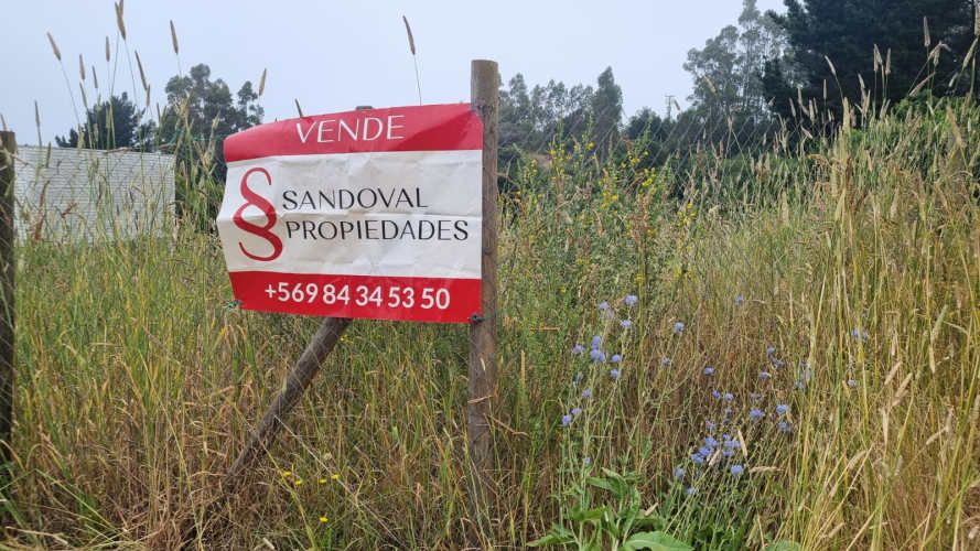 VENDE SITIO MORROS DE COLIUMO