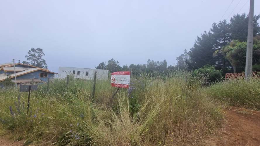 VENDE SITIO MORROS DE COLIUMO