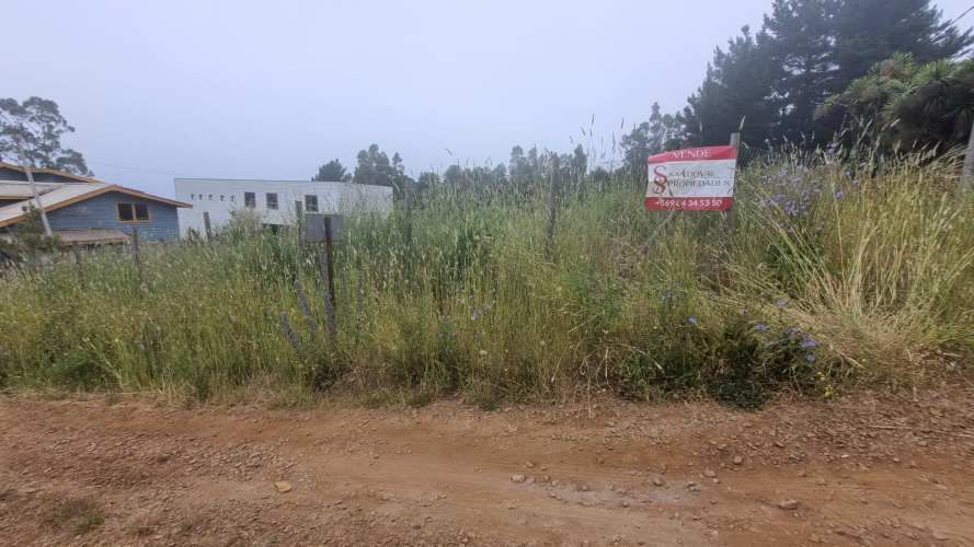 VENDE SITIO MORROS DE COLIUMO