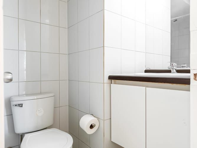 Mapocho 1522 [118-4]