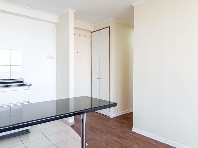 Mapocho 1522 [118-4]