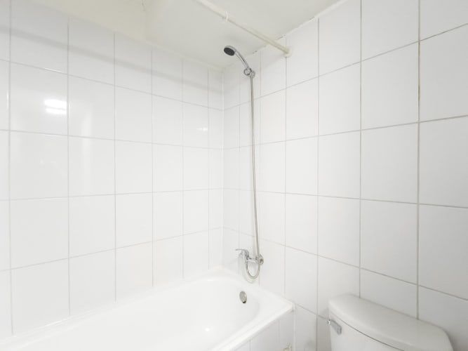 Mapocho 1522 [118-4]