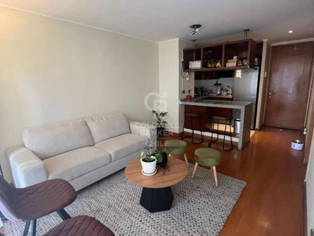 Departamento excelente conectividad