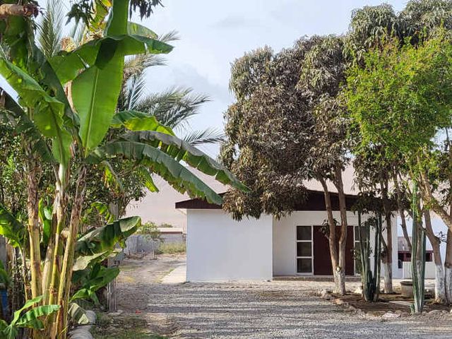 AZAPA PARCELA SECTOR LAS MAITAS MEDIA HECTAREA