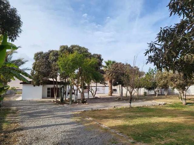 PARCELA AZAPA MEDIA HECTÁREA