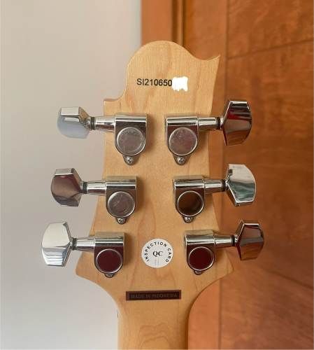 Guitarra Electrica