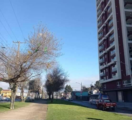 Departamento TORRE RODRIGUEZ PINTO