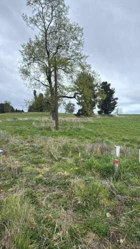 Parcela A 6 MINUTOS DE ENTRELAGOS