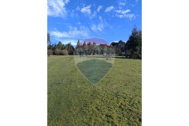 Terreno de 3 hectáreas en fresia