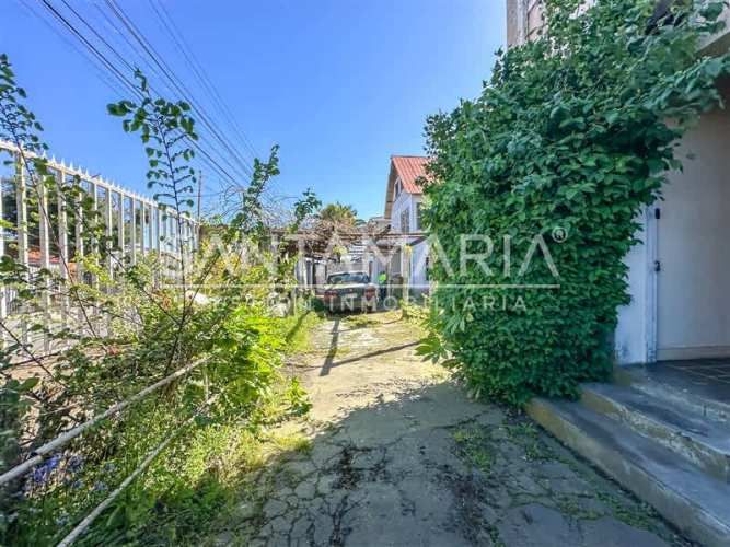 LOCAL COMERCIAL Colón, Talcahuano