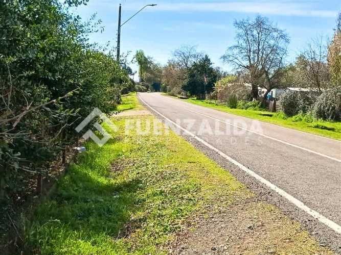 PARCELA Sector Trabuncura Comuna de San Fabián