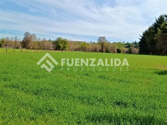 PARCELA Sector Trabuncura Comuna de San Fabián