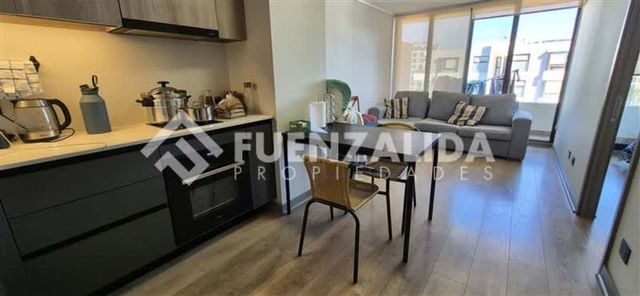 DEPARTAMENTO Pedro de Valdivia