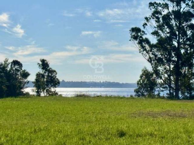 Kilometro 8 | Al lado del Lago con vista despejada.