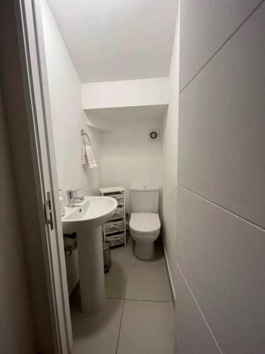 Alonso de Ercilla (121683)