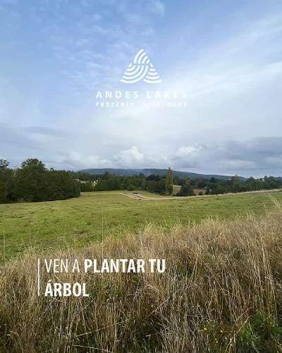 PARCELA LLIU LLIU ALTO VISTA VOLCÁN VILLARRICA S-91 LONCOCHE