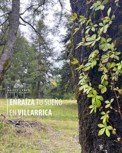 SECTOR  LOS RAULIES NORTE LAGO VILLARRICA S-553