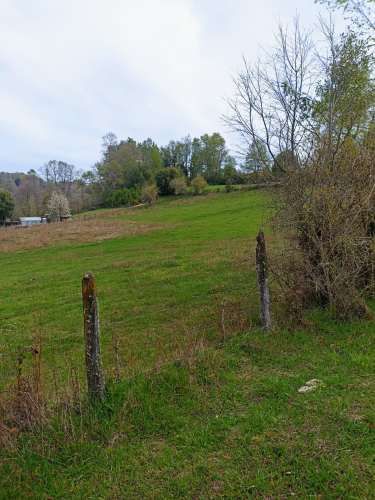 PARCELA DE 2,0 HECTÁREAS, CON CASA ,  COMUNA CURACAUTIN.