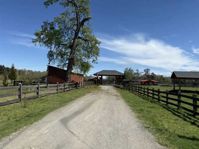 PARCELA Camino Villarrica-Freire Km.5,3 Sector Chucauco