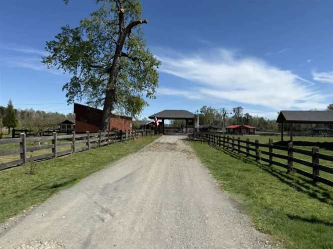 PARCELA Camino Villarrica-Freire Km.5,3 Sector Chucauco