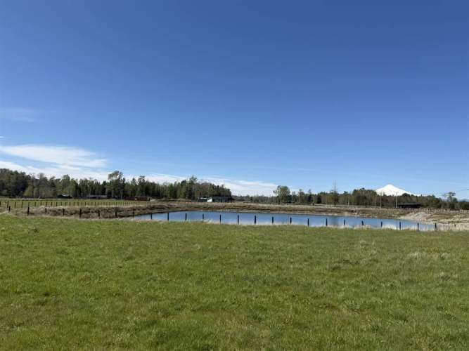 PARCELA Camino Villarrica-Freire Km.5,3 Sector Chucauco