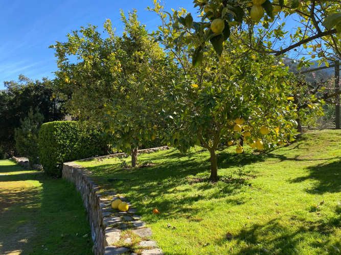 A SOLO 1 HORA DE SANTIAGO ESPECTACULAR CASA CAMPO