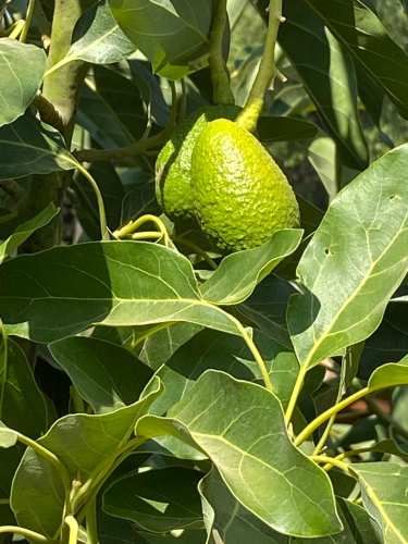 A SOLO 1 HORA DE SANTIAGO ESPECTACULAR CASA CAMPO