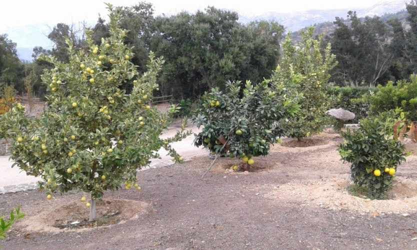 A SOLO 1 HORA DE SANTIAGO ESPECTACULAR CASA CAMPO