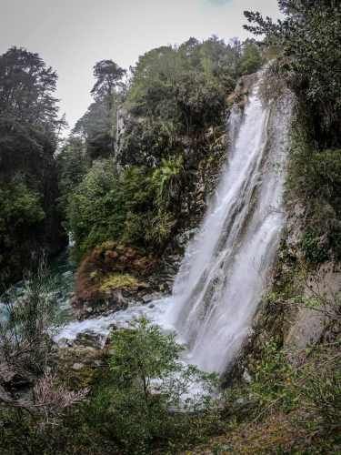 CAMPO SECTOR HUERQUEHUE, TERMAS RIO BLANCO