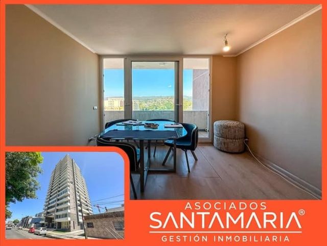 DEPARTAMENTO Manuel Rodriguez, Concepción centro