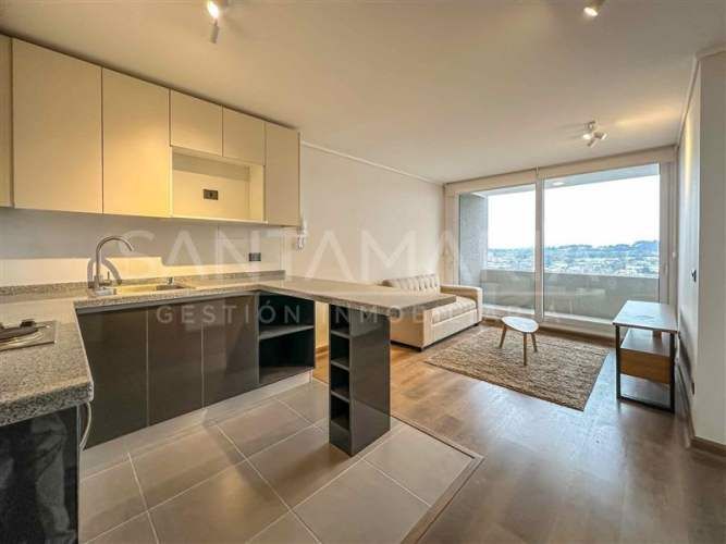 DEPARTAMENTO Ongolmo, Concepción