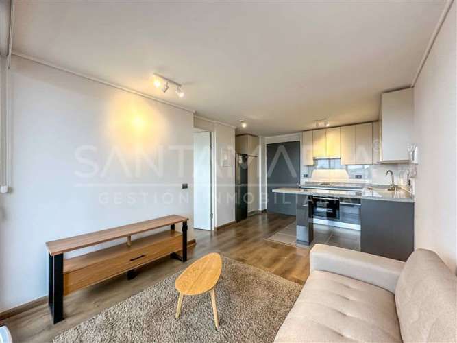 DEPARTAMENTO Ongolmo, Concepción