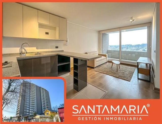 DEPARTAMENTO Ongolmo, Concepción